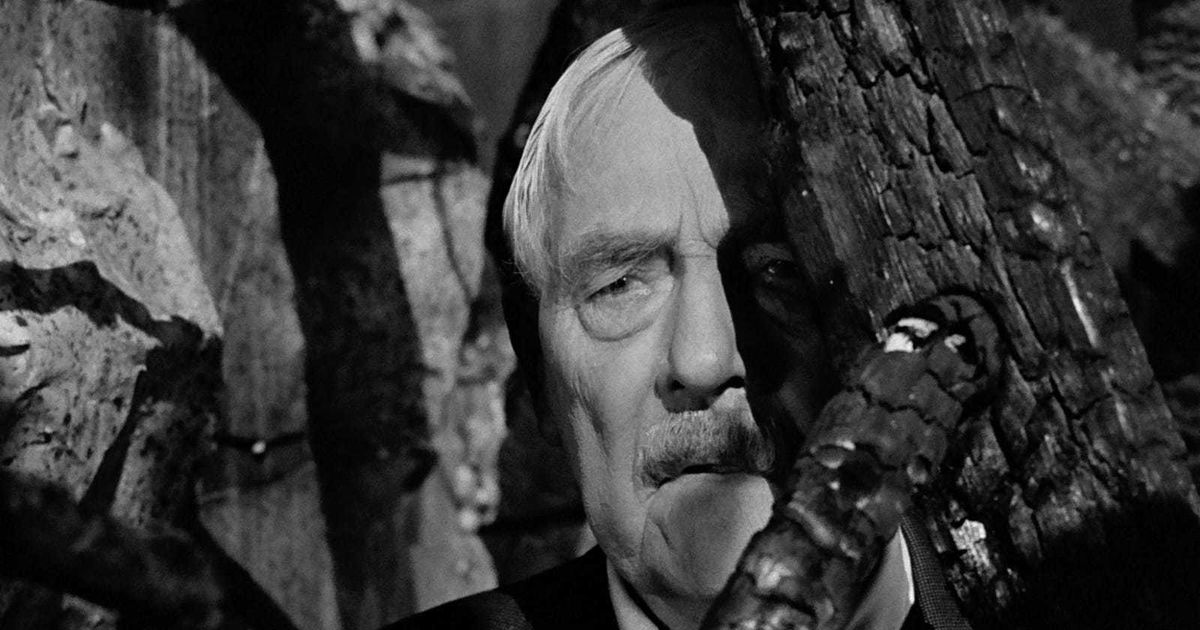 Wild Strawberries