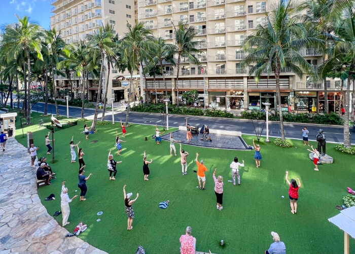 Ka Lei Hula “The Adorned Dance”