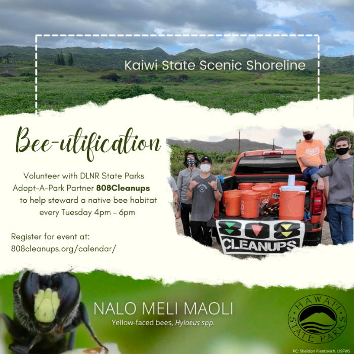 Kaiwi State Scenic Shoreline: Volunteer Day