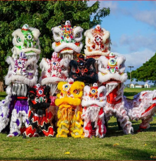 Hawaii State Library Celebrates Lunar New Year 2026 with the Asian Lion Dance Team!