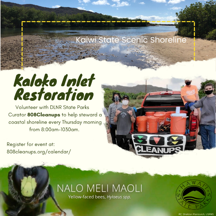 Kaloko Inlet Restoration at Kaiwi State Scenic Shoreline