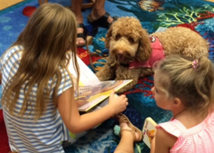 Read to a Therapy Dog